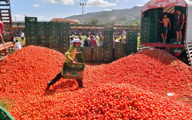 Фестиваль помидоров в Испании