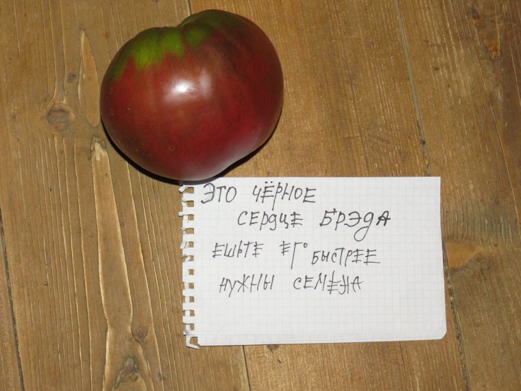 Томат татами