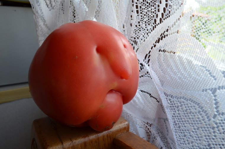 Помидор прикол