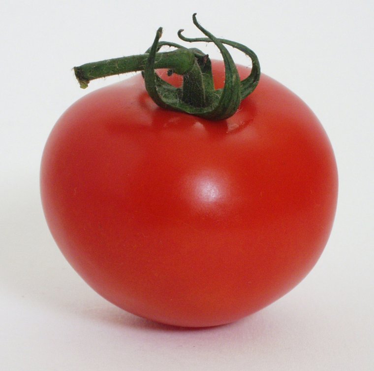 Помидор круглый