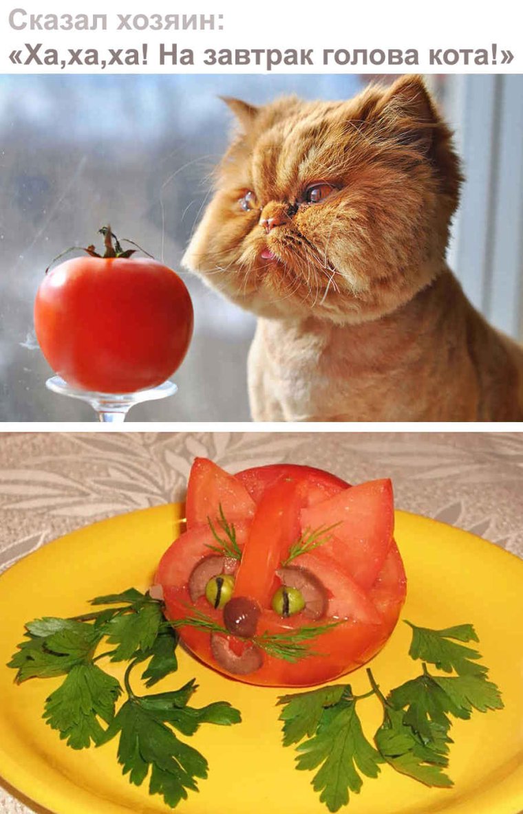 Анекдоты про кошек