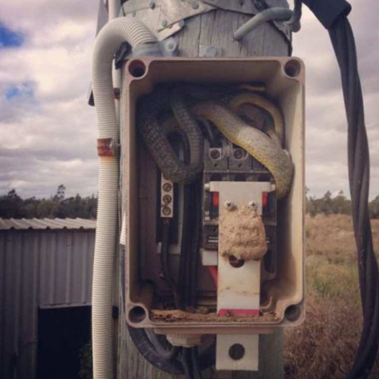 Электрик заземление