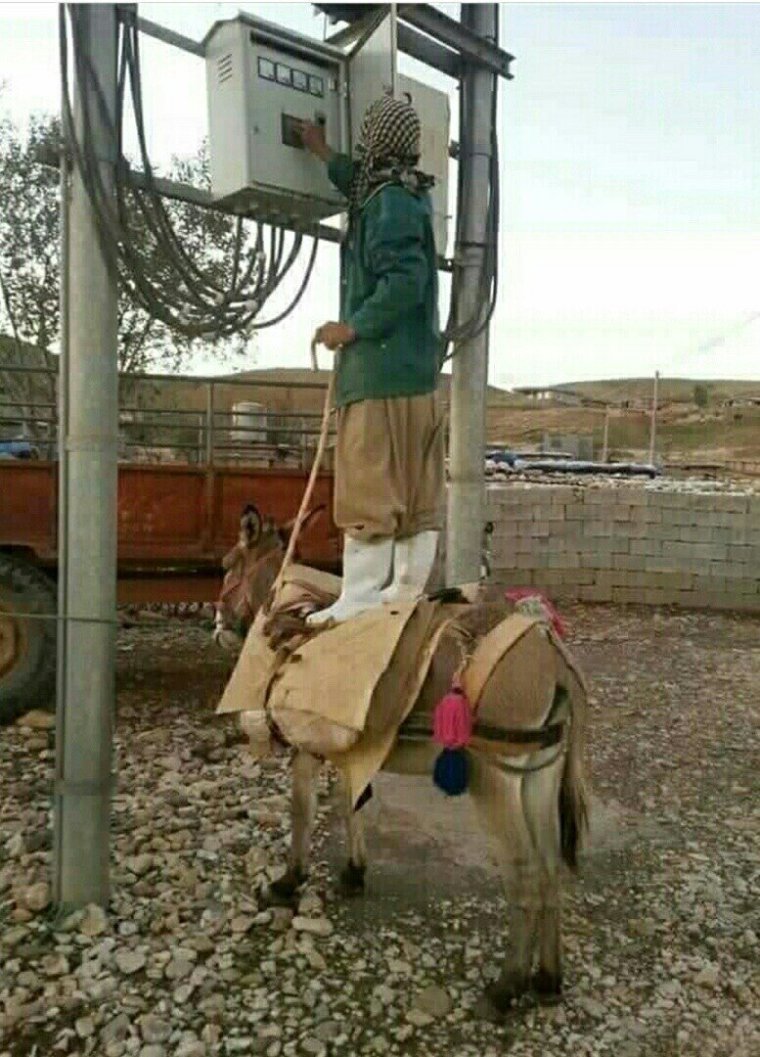 Осёл электрик