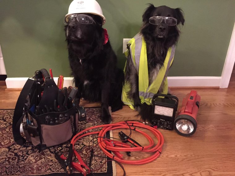 Прикольный электрик