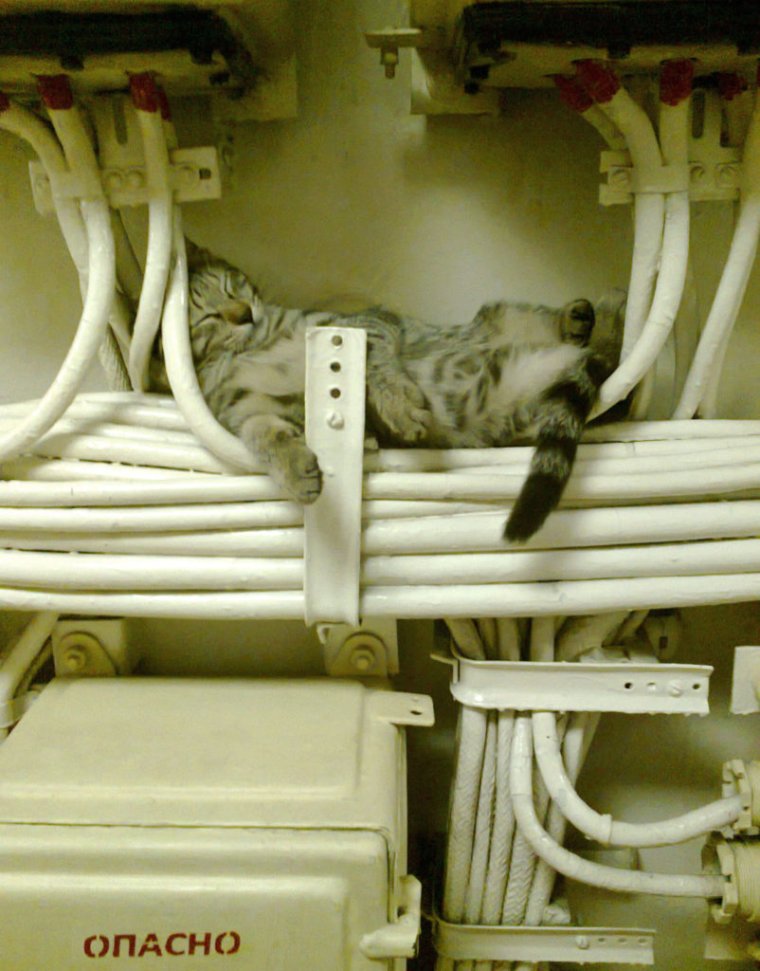 Прикол про электрика