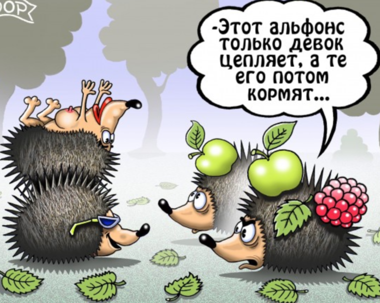 Про альфонсов цитаты