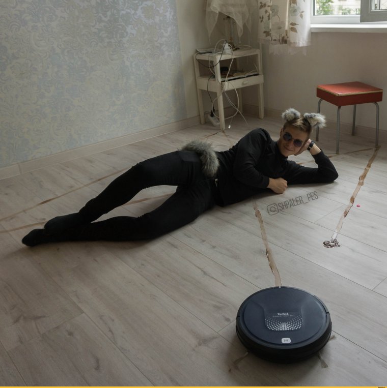 Робот пылесос и собака