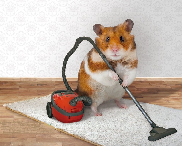 УГАРНЫЙ хомяк