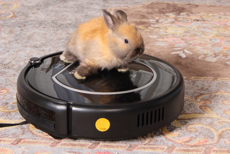 Робот пылесос Panda для шерсти животных