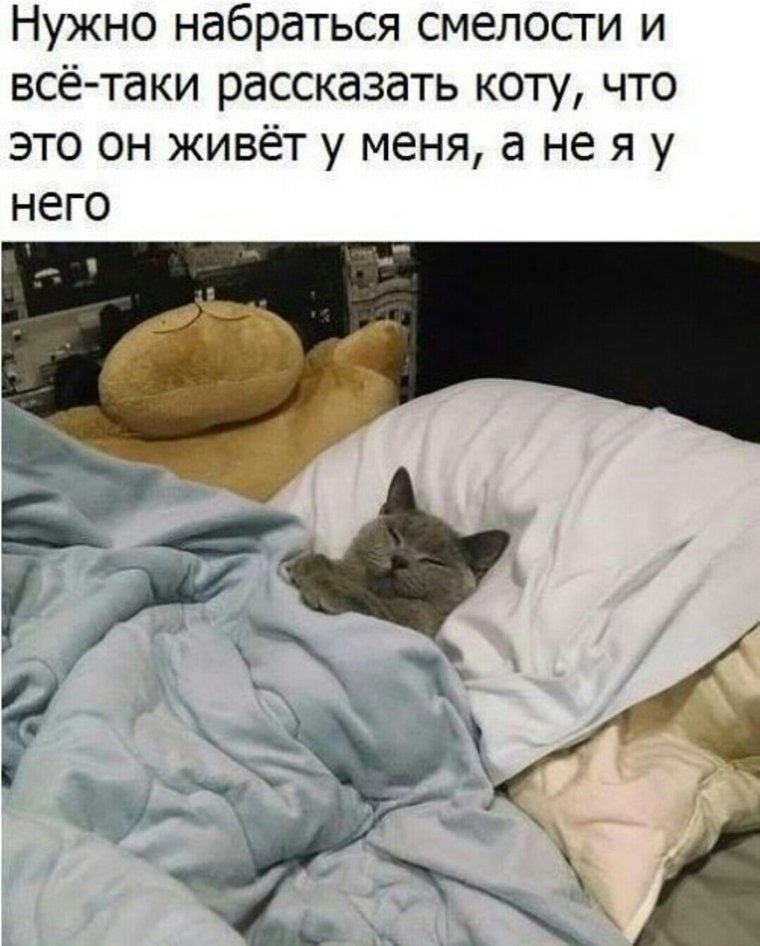 Шутки на ночь