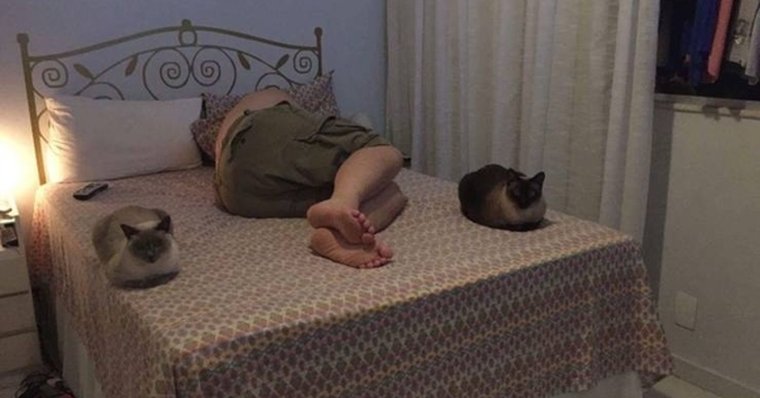 Кот на страже сна