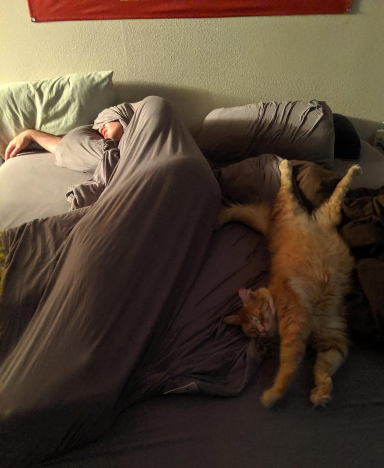 Нелепый сон