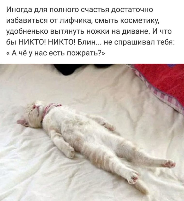 Смешные высказывания про сон