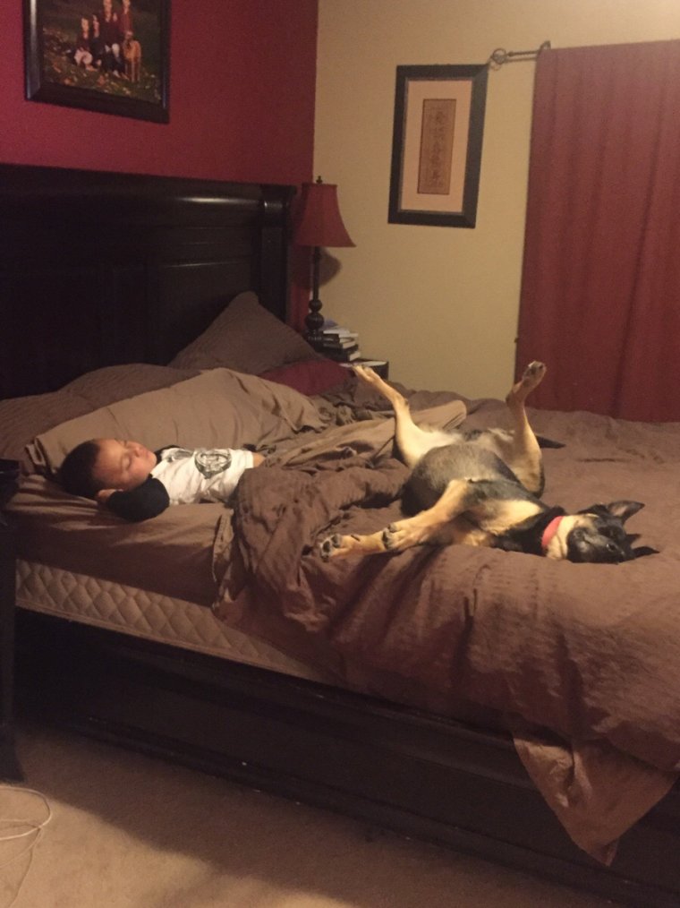 Смешной сон