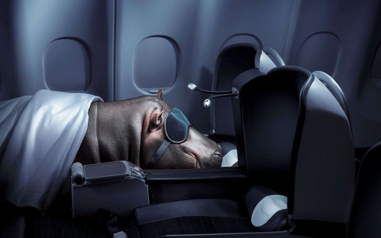 Крепких снов картинки