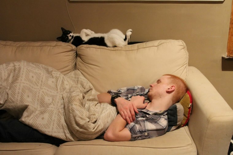 Смешные картинки про сон