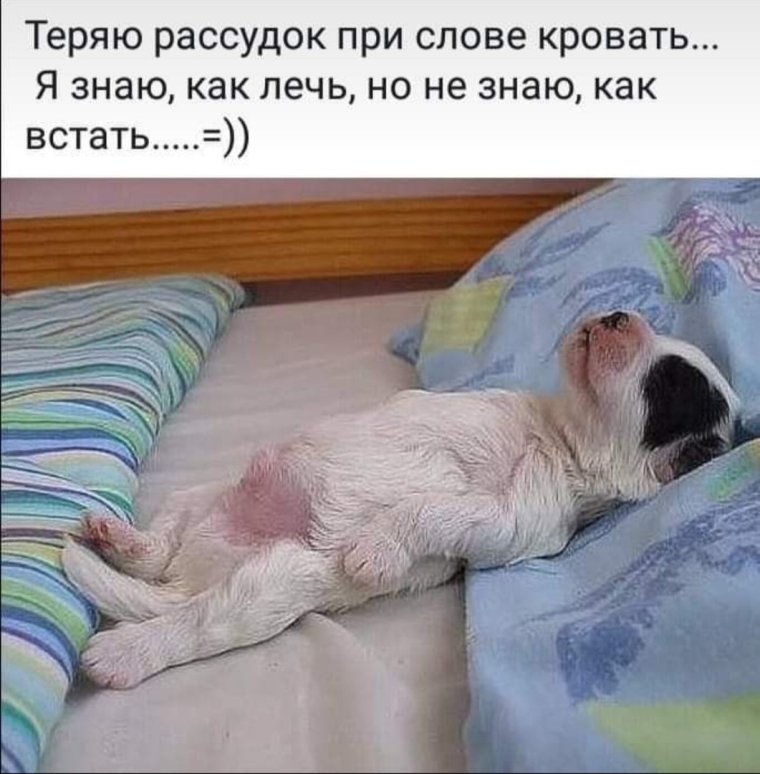 Спать прикол