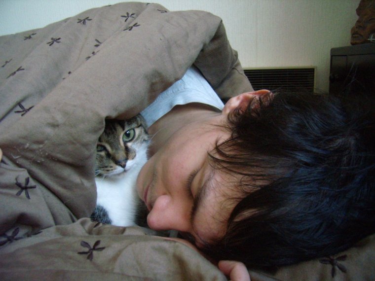 Мужчина спит с котом