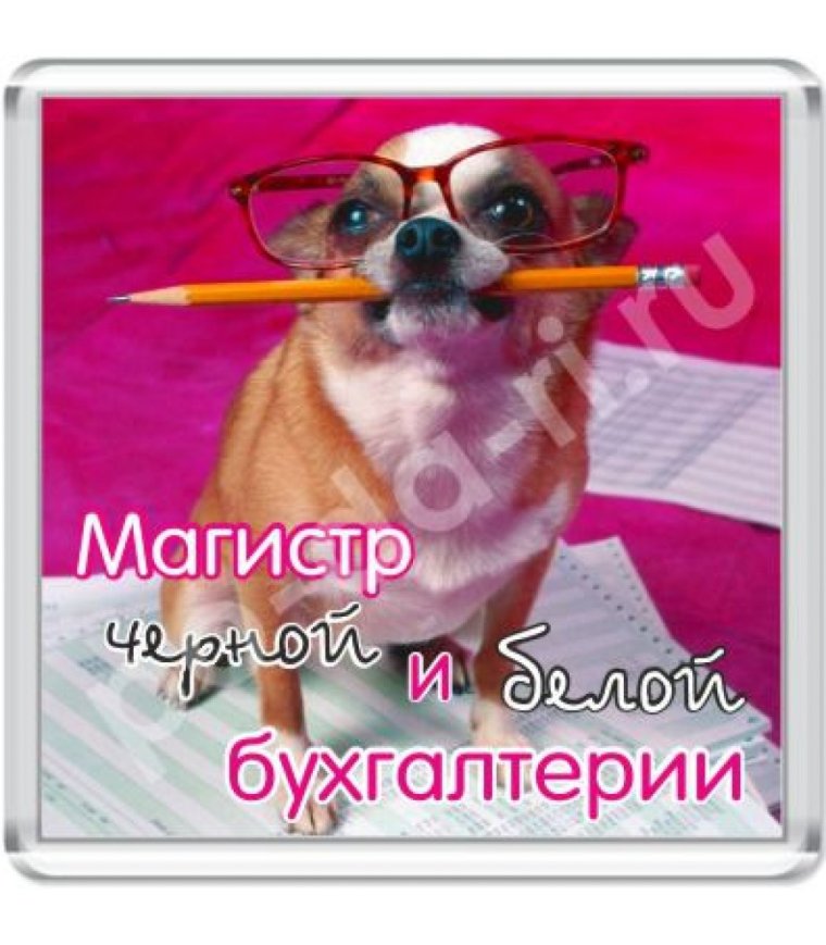 Прикольные надписи про бухгалтерию