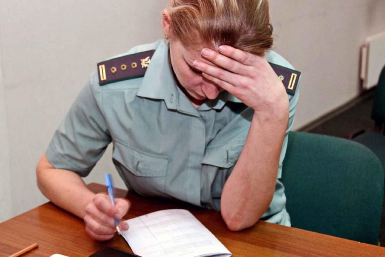 Предновогодние хлопоты юмор