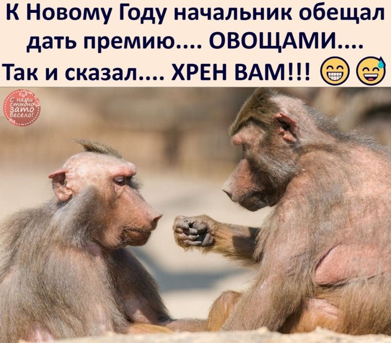 Премия юмор