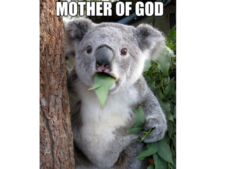 В долг не даем