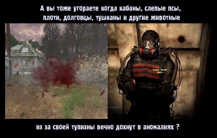 Мемы про долг сталкер