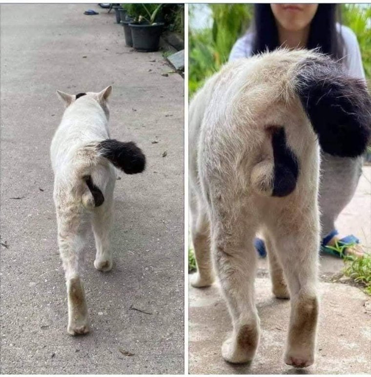 Смешные картинки 2021