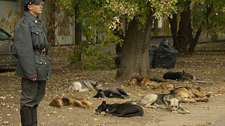 Полицейский в стрингах