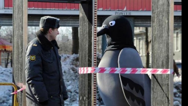 Полиция и животные