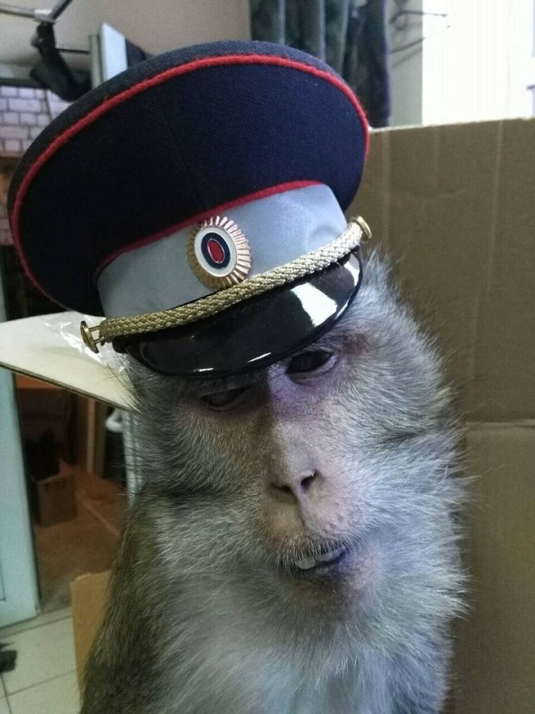 Мент танцует