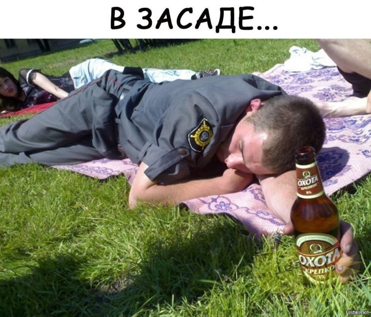 Голубь полиция