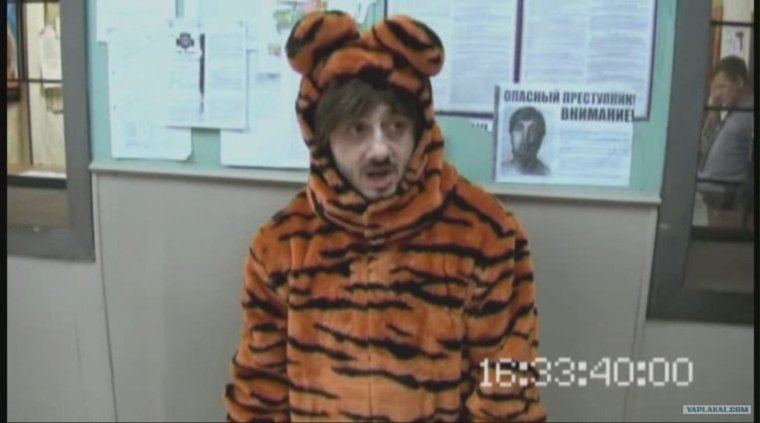 Сашка Саня Александр Бородач