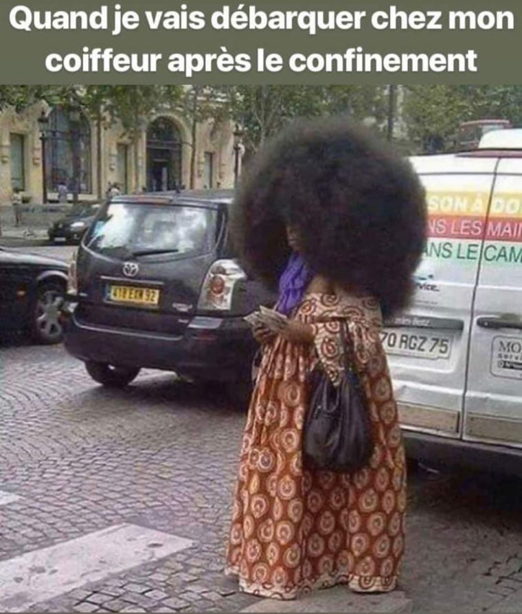 Кудрявый прикол