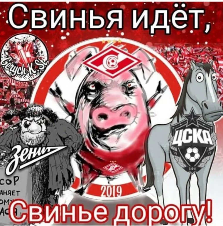 Спартак свиньи