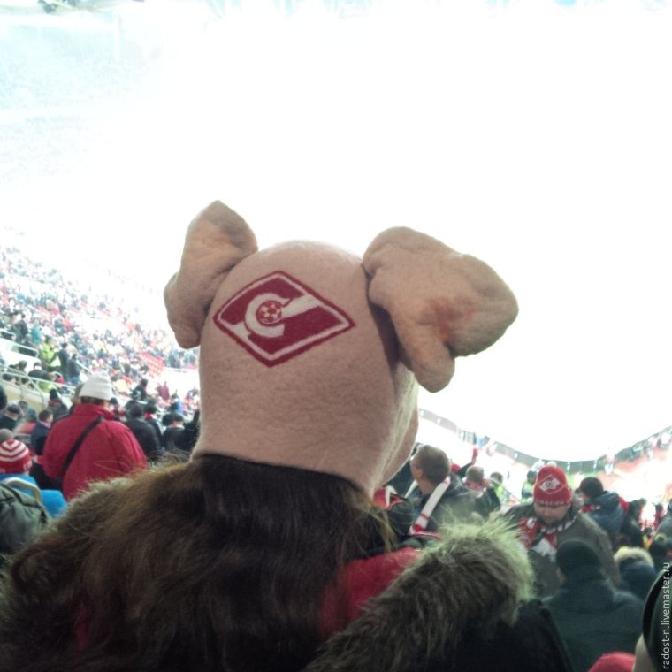 Шапка ушанка Спартак