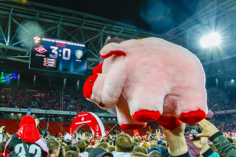 Спартак Свинка