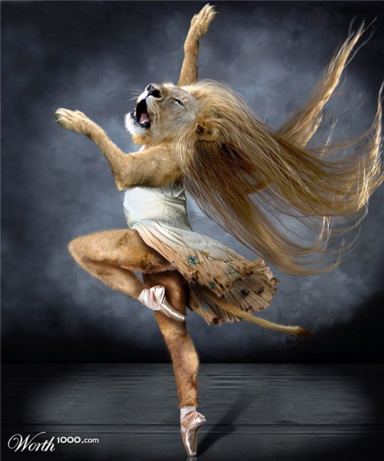 Животные танцуют