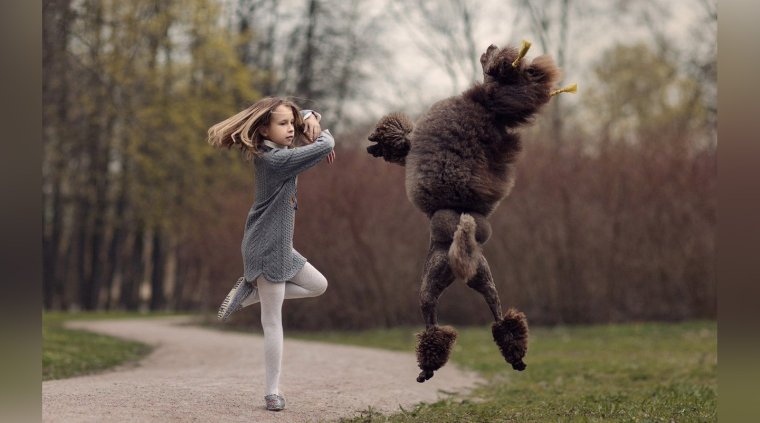 Танцующие животные