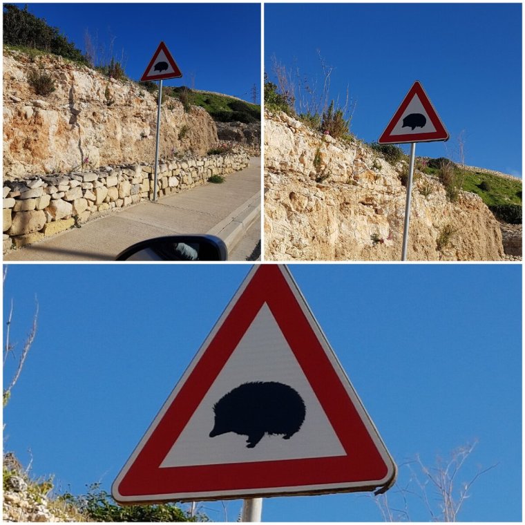 Самые необычные дорожные знаки