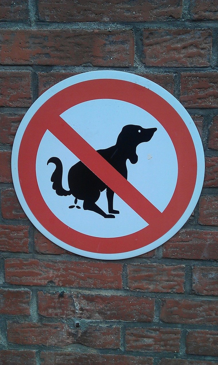 Необычные дорожные знаки