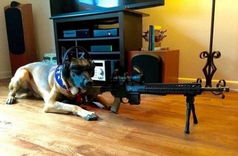 Лопата прикол