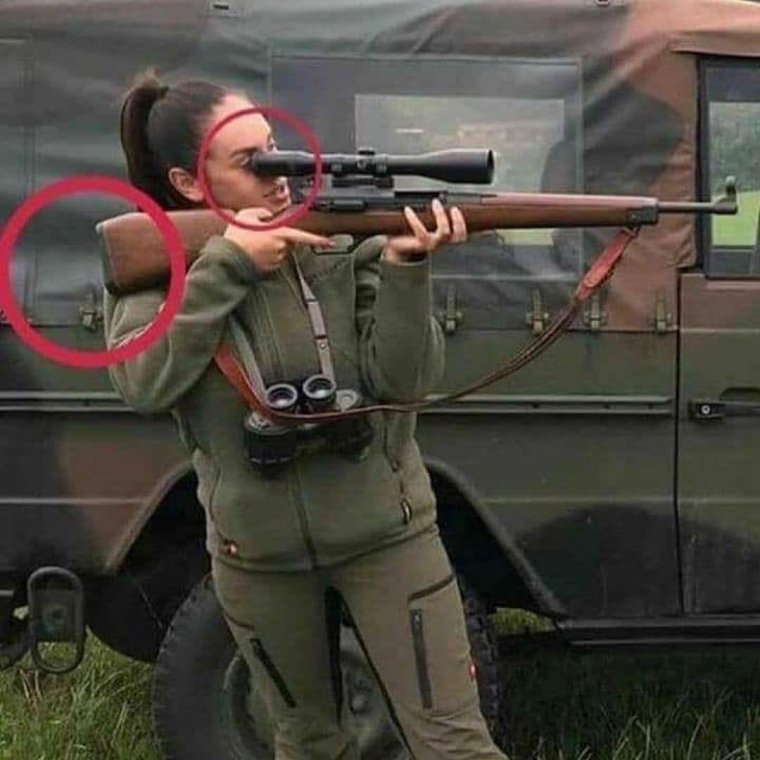 Собака снайпер