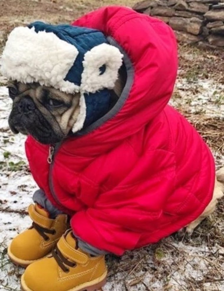 Приколы про холодную осень