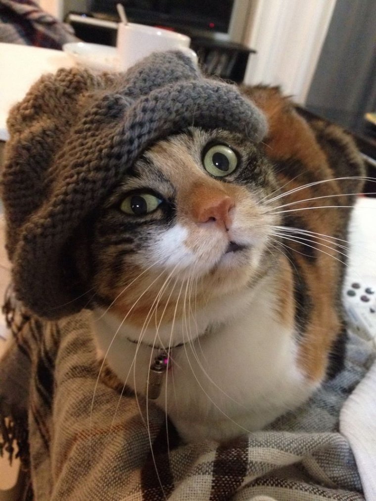 Одевайся теплее