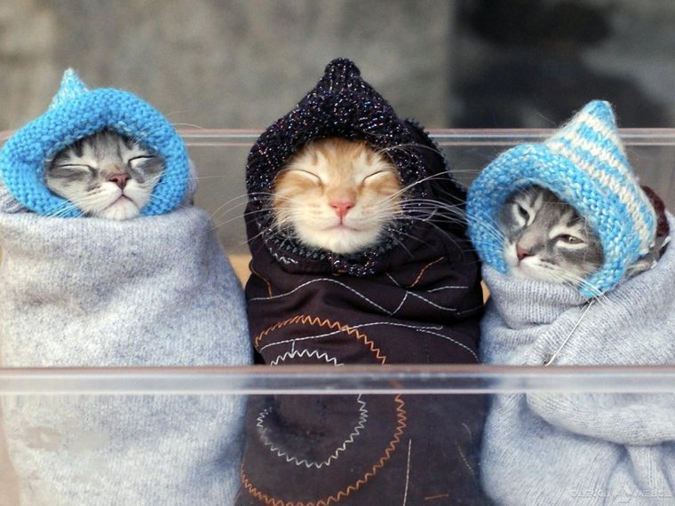 Одевайтесь теплее