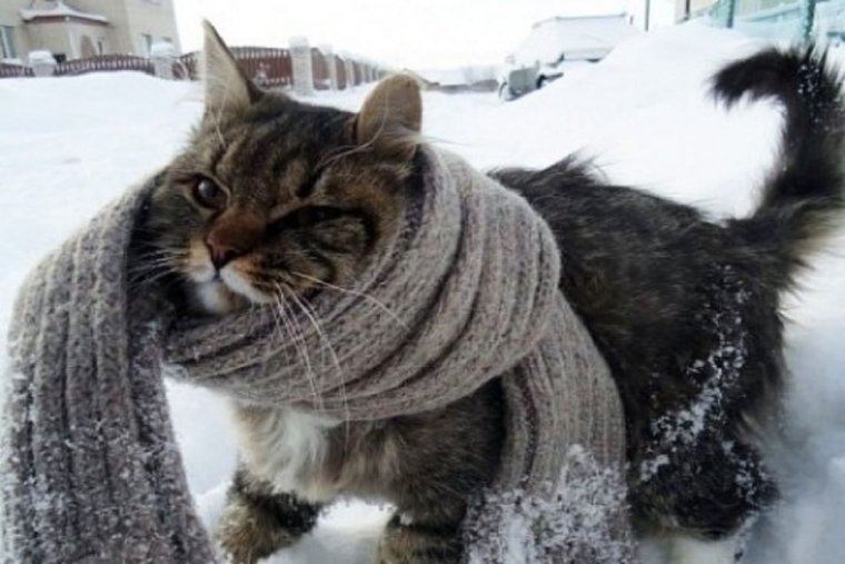 Очень холодно