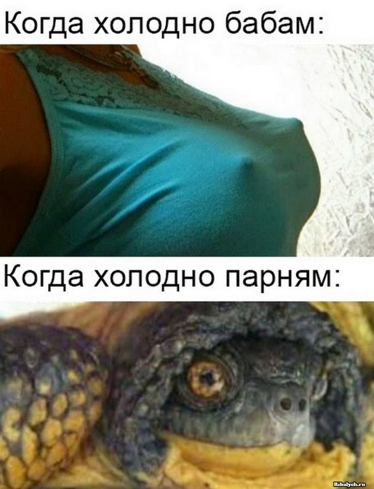 Холодно прикол