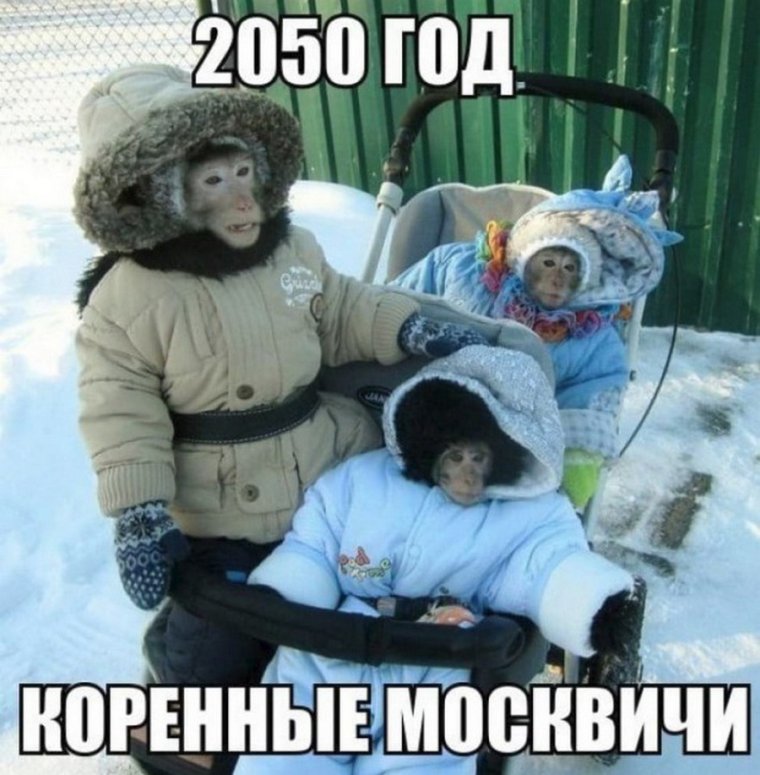 Зима пришла прикольные