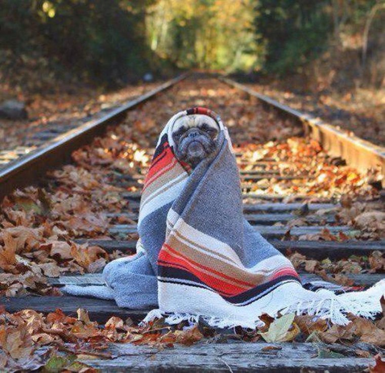 Не было печали просто уходило лето